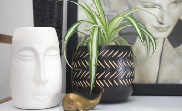 Easy ways to reduce stress and improve mental clarity.